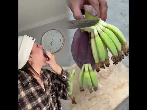 I CAN PUT THIS WHOLE THING IN MY MOUTH #msbeanie #tiktokuni #fypシ゚viral #pov #foryoupage #fypツツ