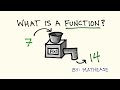 Exploring the Basics of Functions