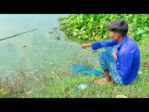 Amazing Fishing Video 2024 ~ Fishing With Hook ~ Traditional Hook Fishing ~ Рыбалка Видео