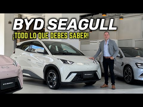 BYD SEAGULL ✅ ¡Todo lo que quieres saber! ⚡️ El auto eléctrico del momento (4K)