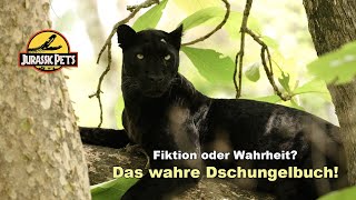 Das wahre Dschungelbuch: Was wirklich geschah | Doku