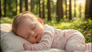 Super Relaxing Baby Music 🎶 Lullaby for Babies To Go To Sleep 😴 Sleep Music for Babies💕
