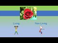 Living and Non-Living Things Exercise
