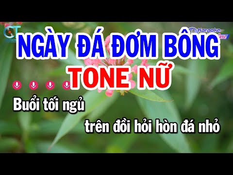 Karaoke Ngày Đá Đơm Bông Tone Nữ ( Am ) Nhạc Sống | Đồng Sen