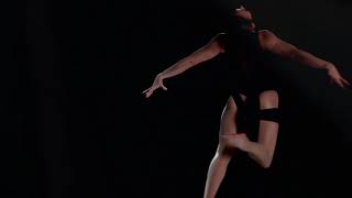 Devyn LaBella Aerial Silks