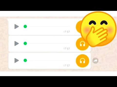 AUDIO VAZADO " MEU PAI ME LEVOU NUM FORRO " 😂😂😂