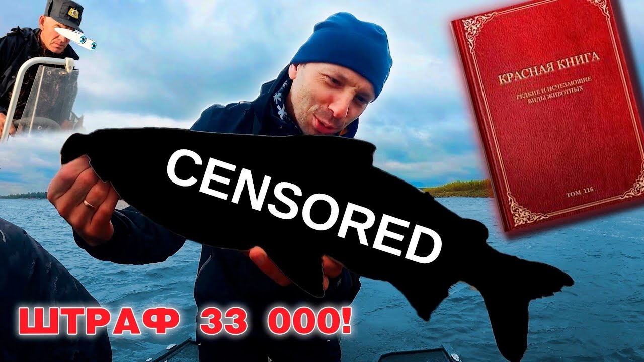 Самая редкая рыба - штраф 33 000 рублей! Вертушка - лучшая и самая уловистая приманка на все времена