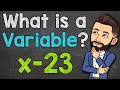 Exploring the Concept of Variables in Algebra