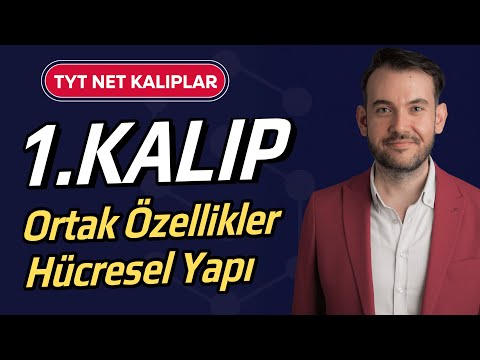 1) TYT Biyoloji Net Kalıplar l Ortak Özellikler l Hücresel Yapı