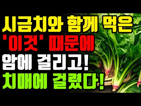 시금치와 절대로 함께 먹지마세요!🥬 암과 치매에 걸릴 수 있습니다! 시금치 함께 먹으면 보약보다 좋은 3가지와 관절염 무릎통증 싹 사라지는 레시피 [시금치 효능 보관법 건강 정보]