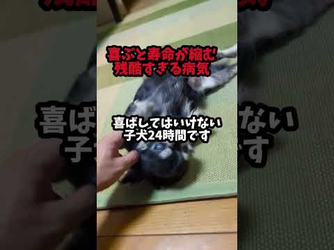 寿命が縮む驚愕の病気(TikYok用)