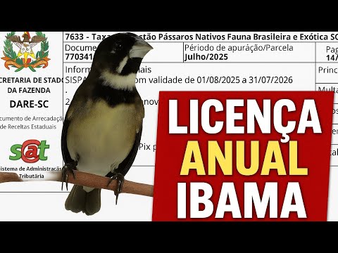 Licença anual Sispass IBAMA, já pagou a sua esse ano  ?