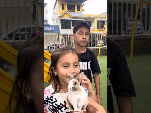El animal es un -conejo