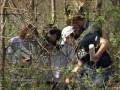 School of Environmental Studies Insights