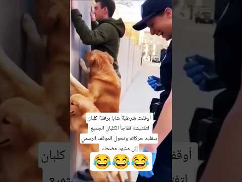 لما الكلاب تاخذ الموضوع رسمي 😂 #ضحك #فيديوهات_مضحكة