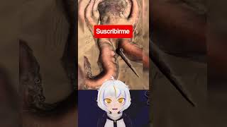 Pulpo