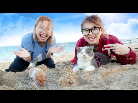 BAWA HAMSTER JALAN-JALAN KE PANTAI!!