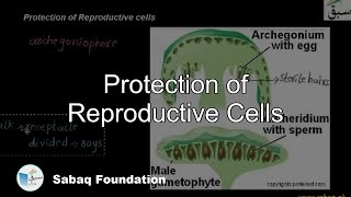 Protection of Reproductive Cells