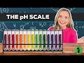 Understanding pH and Acidity Concepts