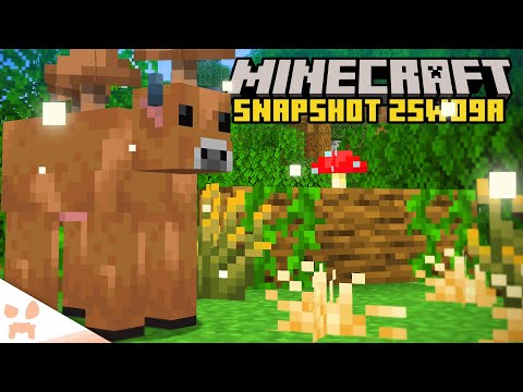 NEW TREE UPDATE, MORE FIREFLY, BROWN MOOSHROOM, + MORE! (minecraft snapshot 25w09a)