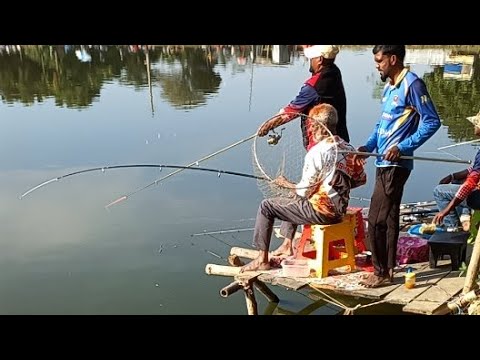 ২৫ হাজার টাকার টিকিটে কেমন মাছ ধরা পড়ছে! Fishing is live in village fishing spot!