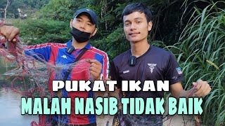 PUKAT IKAN GAIS!!