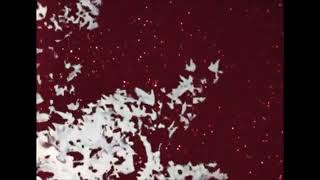 Mac DeMarco - Garbage Funk (Original Speed)