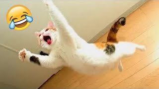 Funniest Animals 2023 😂 Funny Cats and Dogs 🐱🐶 | Funny Animal Videos #23