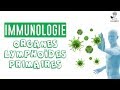 Immune System Concepts and Functions