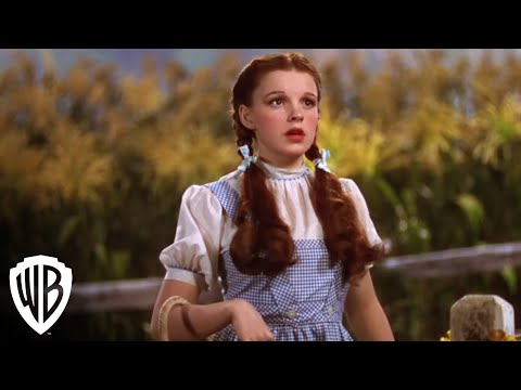 Dorothy Meets The Scarecrow