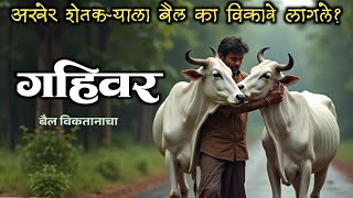 गहिवर - बैल विकतानाचा | Gahivar | लेखक- विजयकुमार मिठे  #cowvideos  #khilar  #farmer