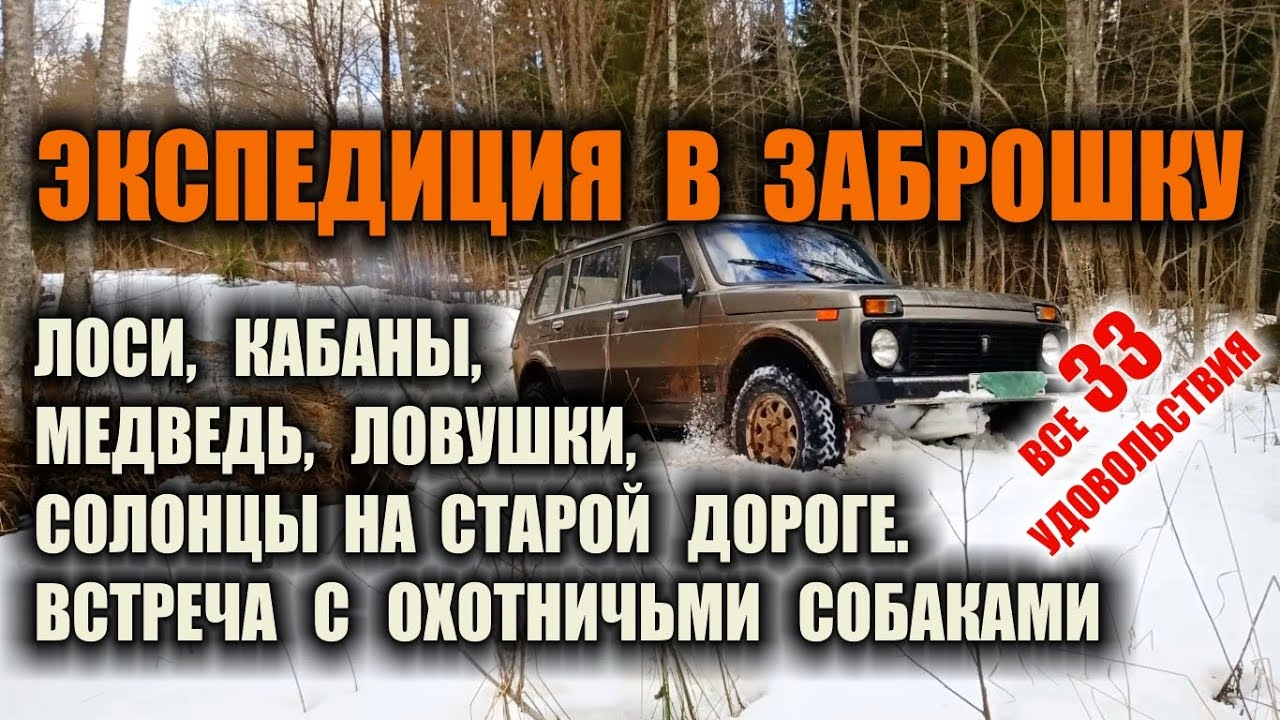 Экспедиция в глухомань в заброшенную деревню к лосям кабанам и медведям