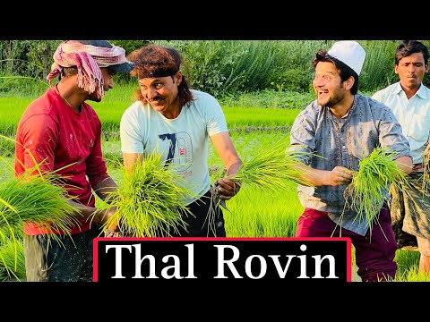 Thal Rovin || Traditional Kashmiri Drama || Comedy Kings