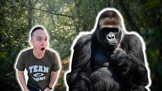 I Survived 5 Days Searching for Wild Mountain Gorillas