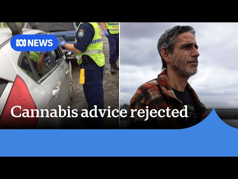 YouTube video thumbnail: NSW Govt Rejects Medicinal Cannabis Defence for Drivers, Drug Advice for Music Festivals
