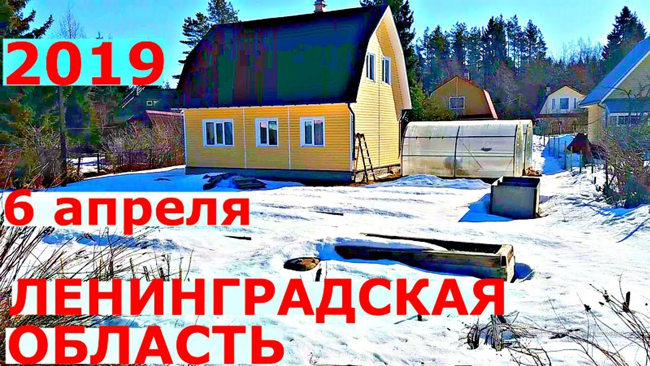 Открытие дачного сезона в ленинградской области. Посадки в теплицу