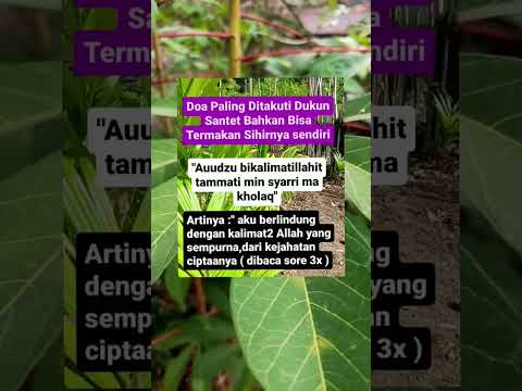 DO'A PALING DITAKUTI PARA DUKUN#katakata#katakatabijak#katamutiaraislami#motivasidiri#motivasihidup