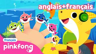 [TOP] Shark Finger Family anglais et français | +Comptines | Pinkfong Bébé Requin ! Chansons Enfants