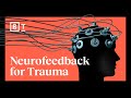 Understanding Trauma and Brain Function