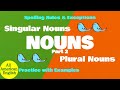 Exploring Singular and Plural Nouns: Spelling Rules and Exceptions