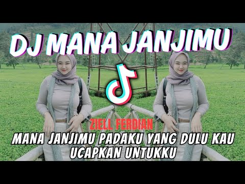 DJ MANA JANJIMU PADAKU YANG DULU KAU UCAPKAN UNTUKKU | MANA JANJIMU Ziell Ferdian REMIX