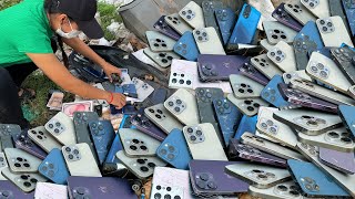 Great Day!!😲 Found Many iPhone 13 14 15 Pro Max & Many others Phones || Restoration Broken Phone