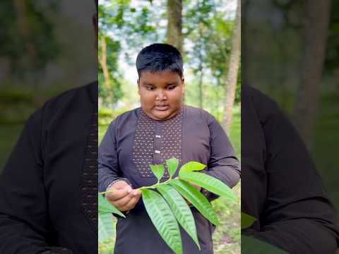 চিকন হওয়ার অভিশপ্ত পাতা। #foryou #reels #trending #vairalvideo #islamicvideo #islam #mahfuzYT