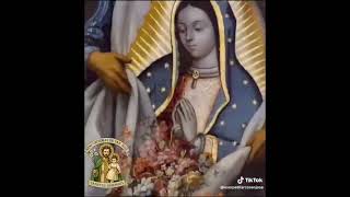 virgen de Guadalupe 🇲🇽🇲🇽🇲🇽