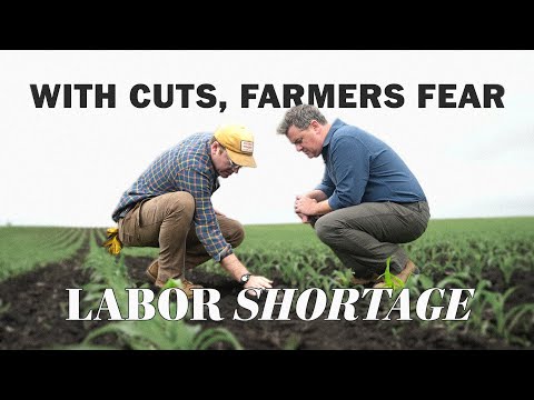 YouTube video thumbnail: With Cuts, Farmers Fear Labor Shortage