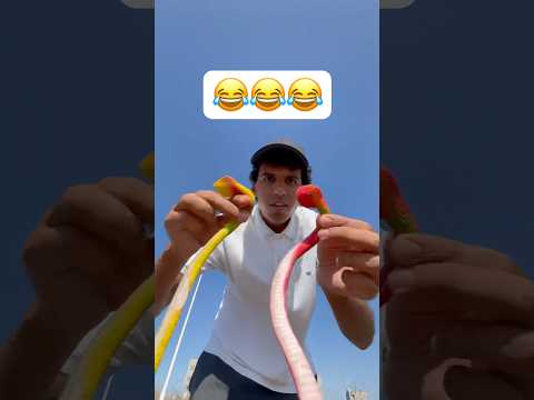 فاش كيتفرجو ولاد ختي !😂