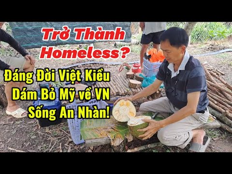 Việt Kiều về VN thành Homeless: Vì Dám Bỏ Mỹ? Thật vậy không?