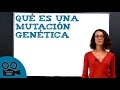 Mutaciones y sus características