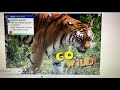 Animal Behavior and Diet Challenges