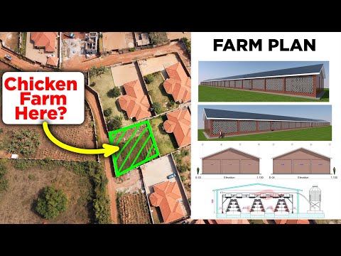 How to Build a Chicken Farm on a SMALL PLOT of Land